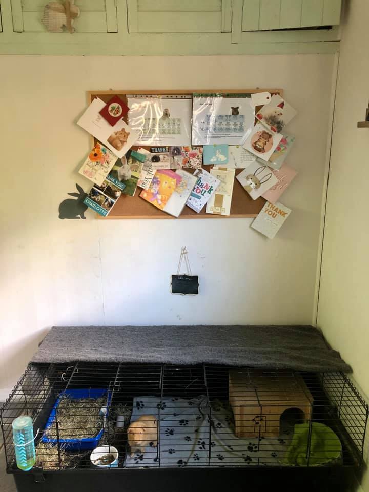 140cm guinea pig cage
